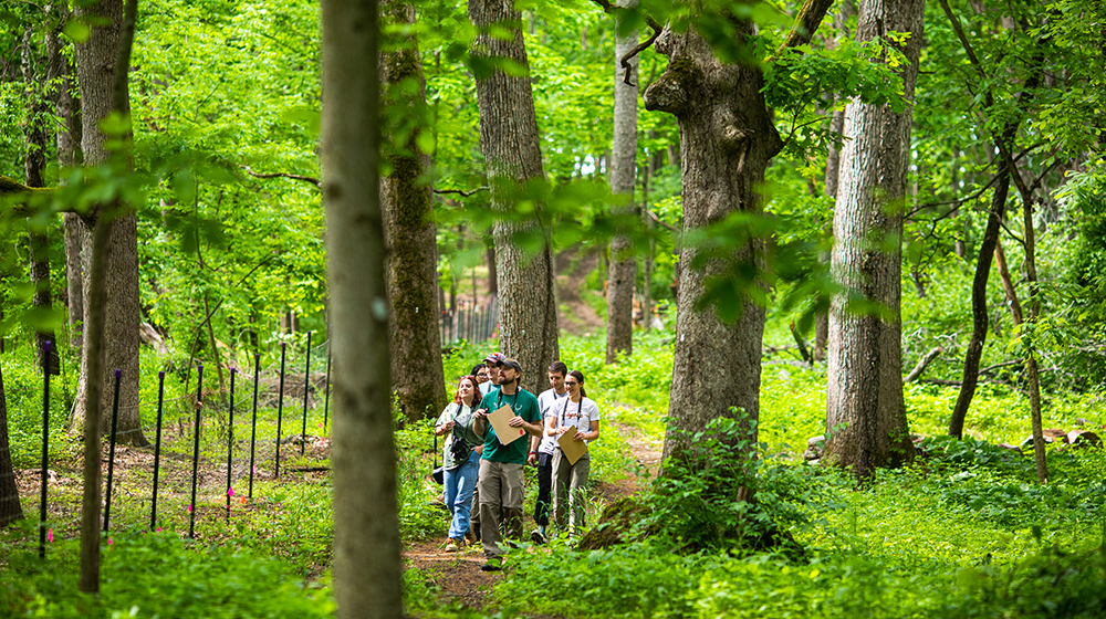 Students and instructor exploring a wooded area