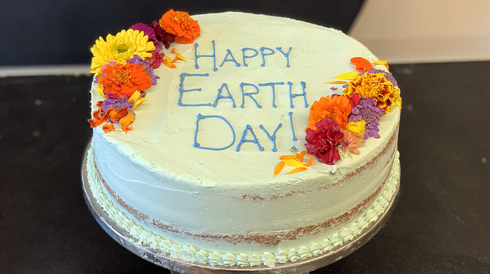 Earth Day cake