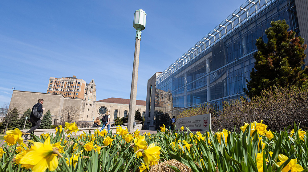 lake shore campus scene with tulips blooming