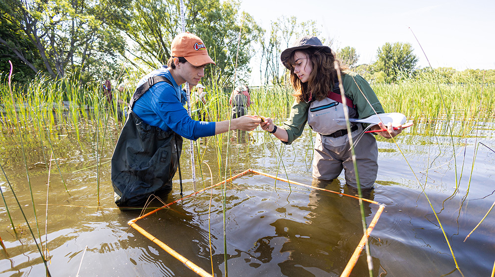 two students in waders working in a wetland