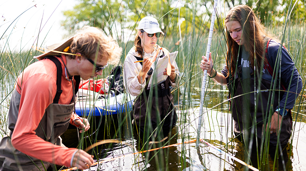 Madeline Palmquist and other members of team typha in waders in a wetland