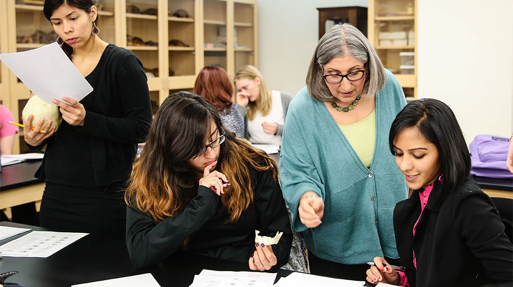 Anthropology professor, Anne Grauer, in a teal button down sweater, stands engaged in conversation with students sitting at a lab table.