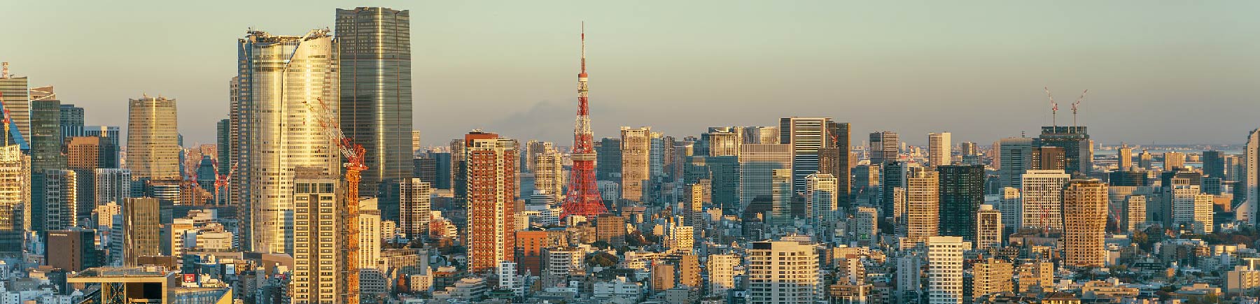 Skyline of Tokyo, Japan