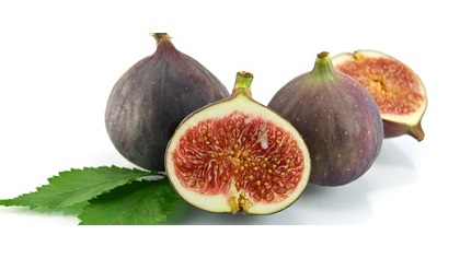 Fig photo for homepage