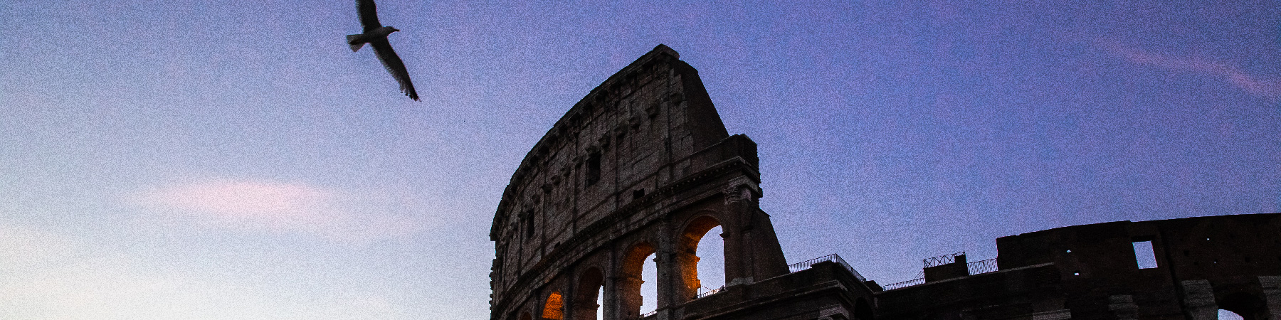 The sun sets behind the colosseum in Rome as the silhouette of a bird flies across the evening sky.