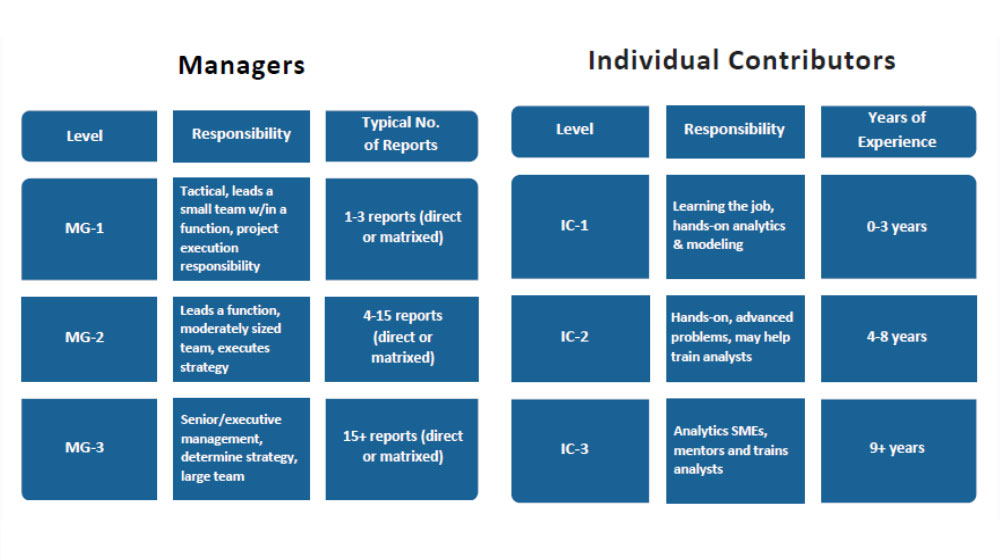 Figure 3: Job Level Segmentation