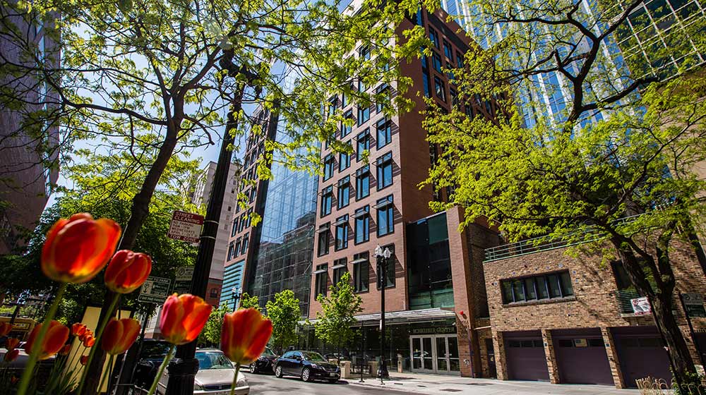 Schreiber Center building photo with tulips in the foreground