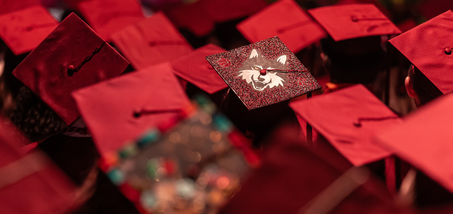 Loyola SCPS graduates' maroon caps with LU Wolf