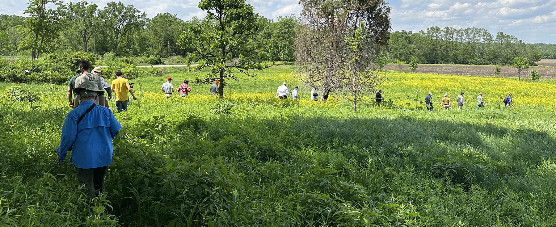students walking in a field