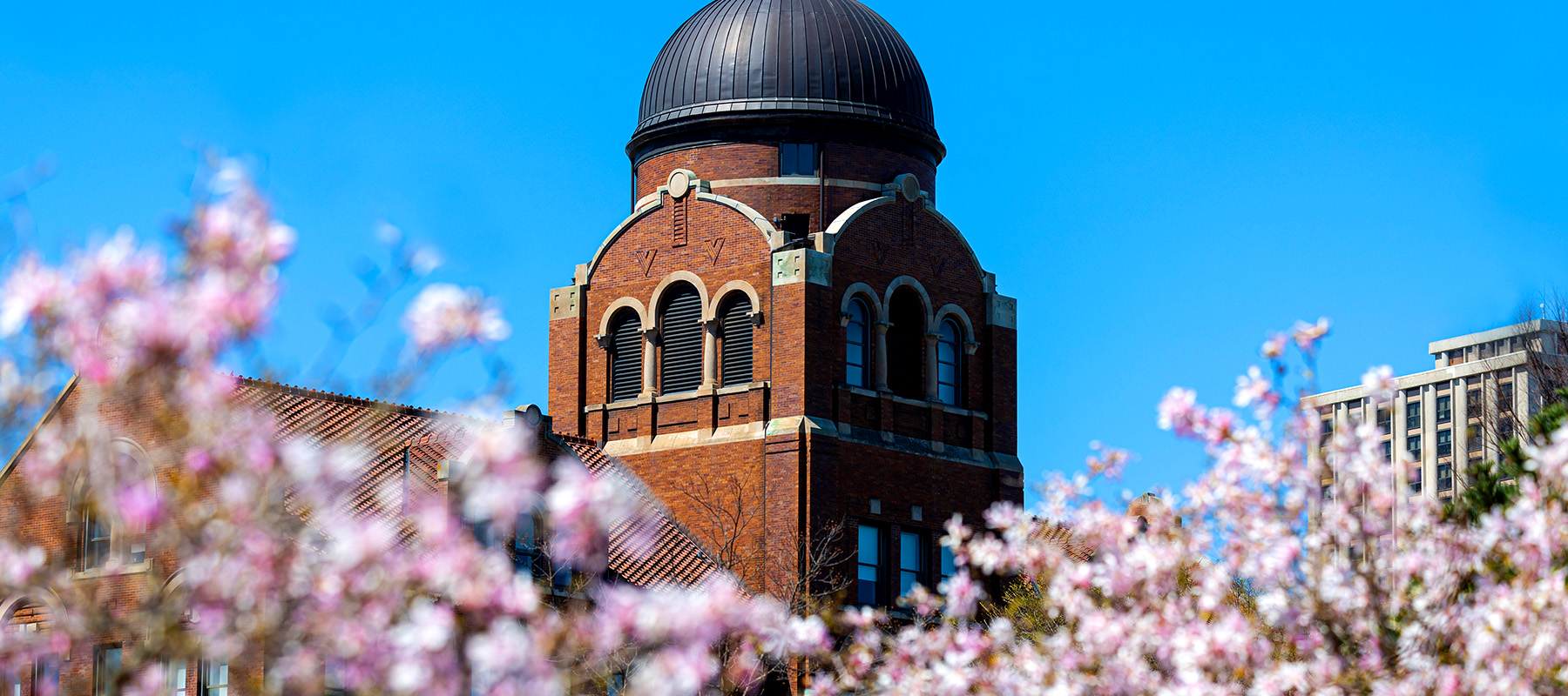 Loyola University: Loyola University Chicago