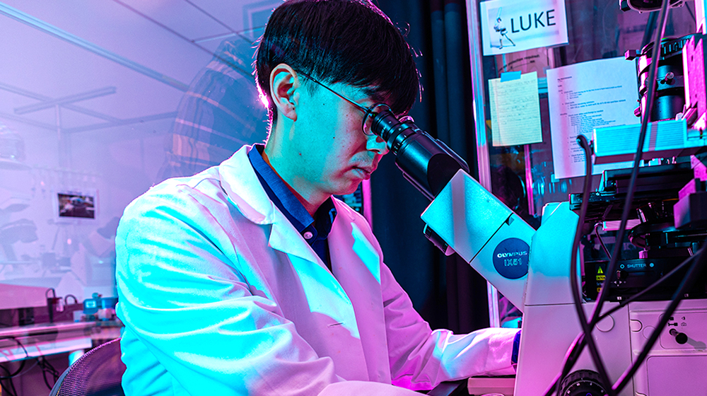 Loyola University Chicago students work on research projects in Prof. Andrew Kirk's Cell and Molecular Physiology lab at the Health Sciences 