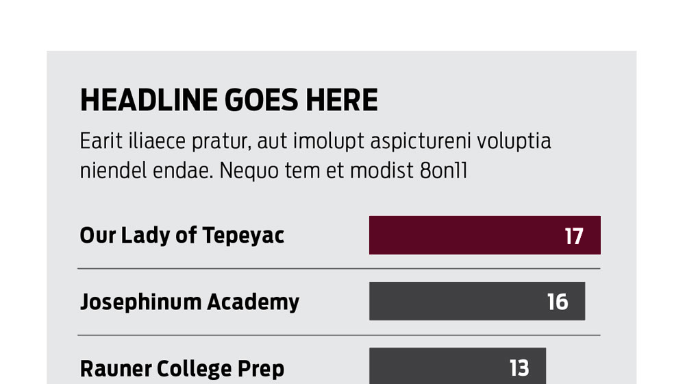 Example of a horizontal bar chart using placeholder text and Loyola University Chicago brand colors.