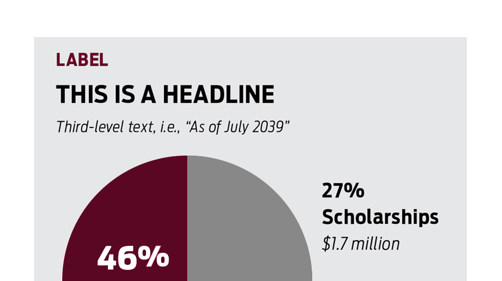 Example of a pie chart using placeholder copy and Loyola University Chicago brand colors