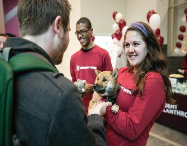 Loyola University Chicago - Tomorrow is Wolf and Kettle Day, when the  Loyola community celebrates and gives thanks to our donors for their  generous support. Learn more